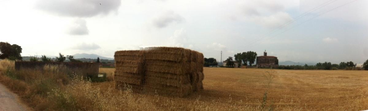 Dinamització agrària de Palou