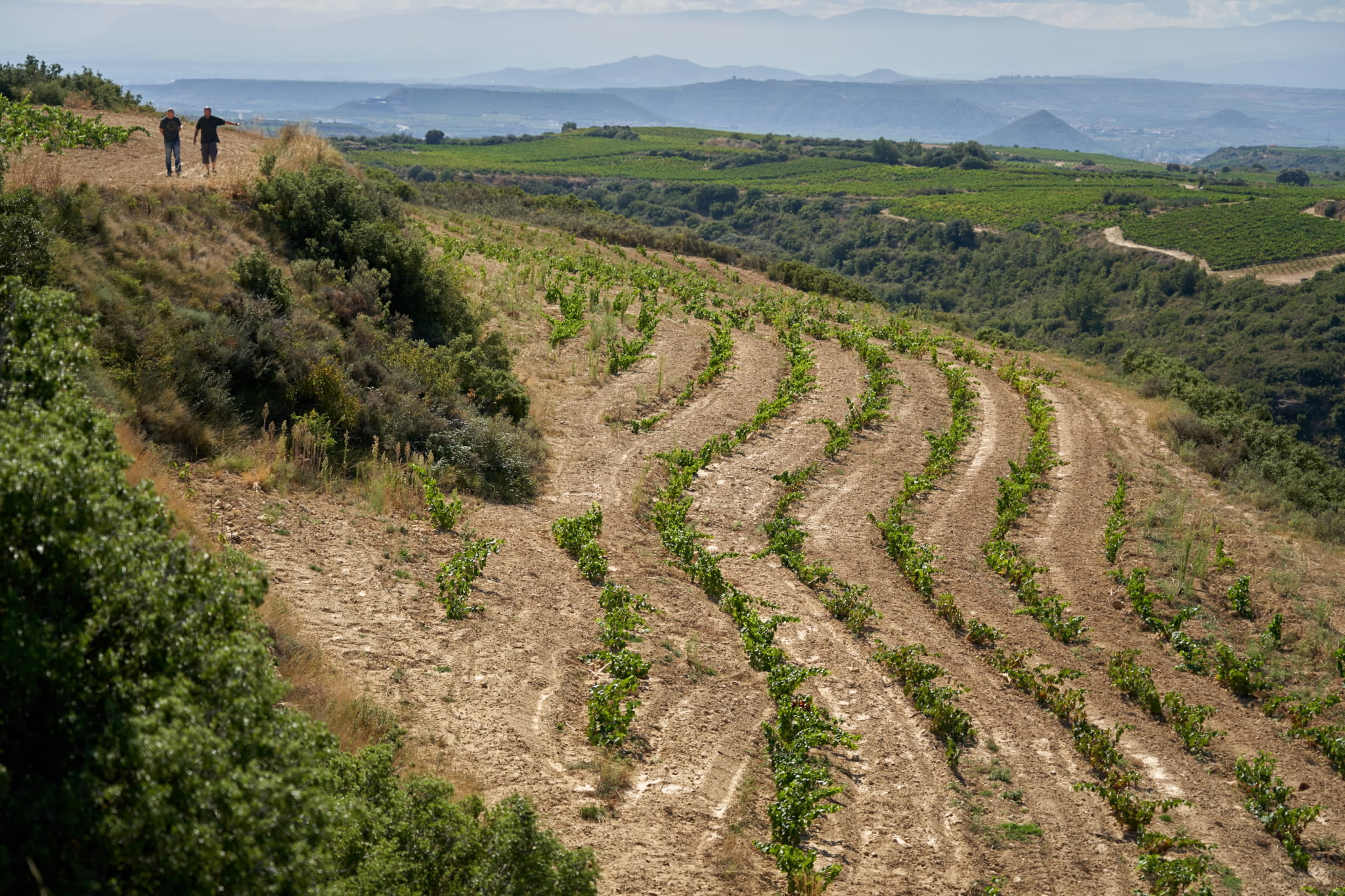 Asociación de Agricultura Regenerativa