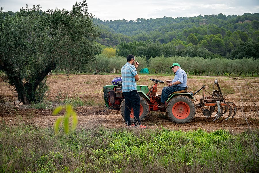 Recuperar finques agrícoles abandonades fomenta el relleu generacional al camp català