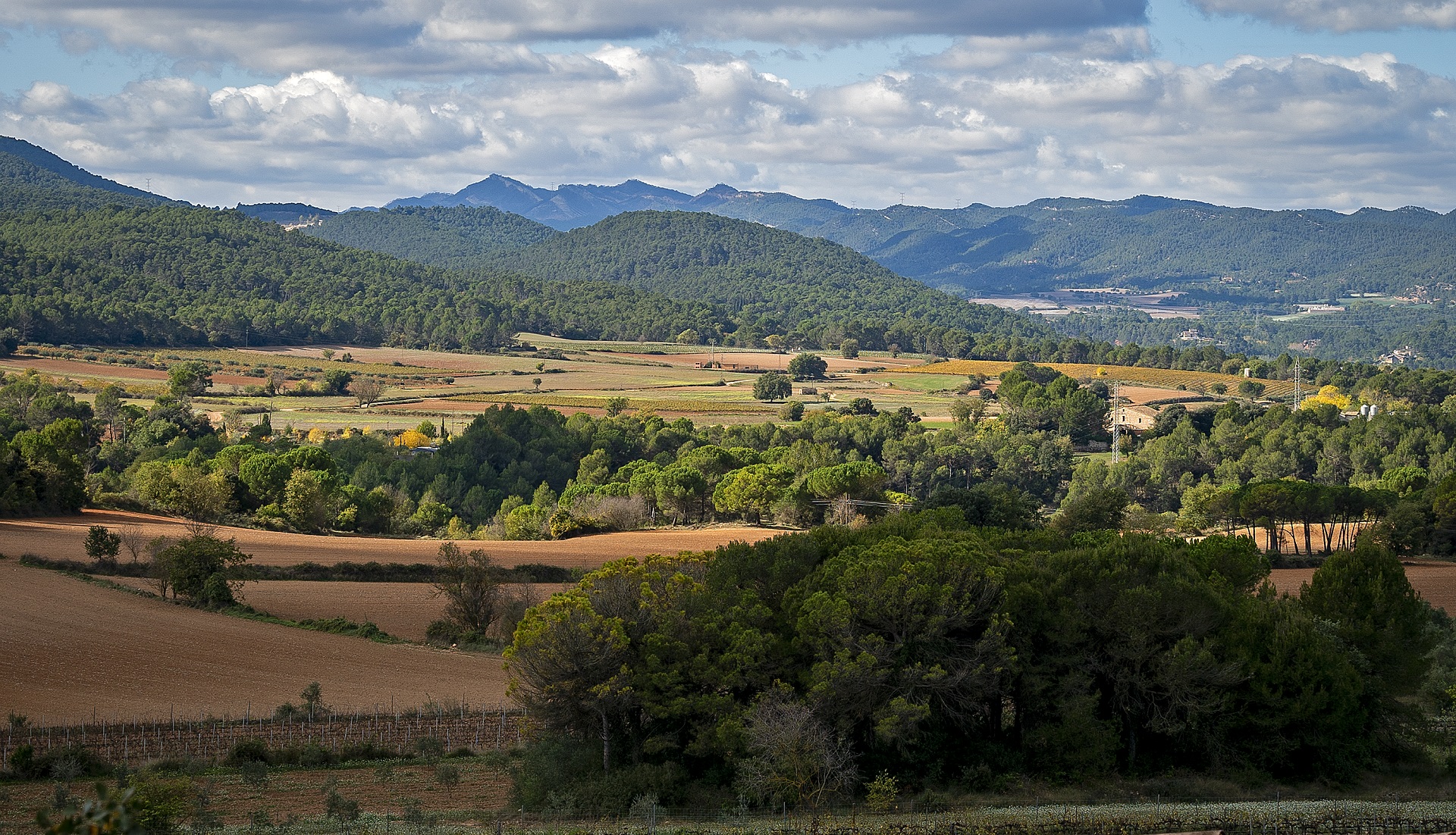 La Pobla de Claramunt, Parc Agrari de la Conca d'Òdena. PATXI URIZ | DIPUTACIÓ DE BARCELONA