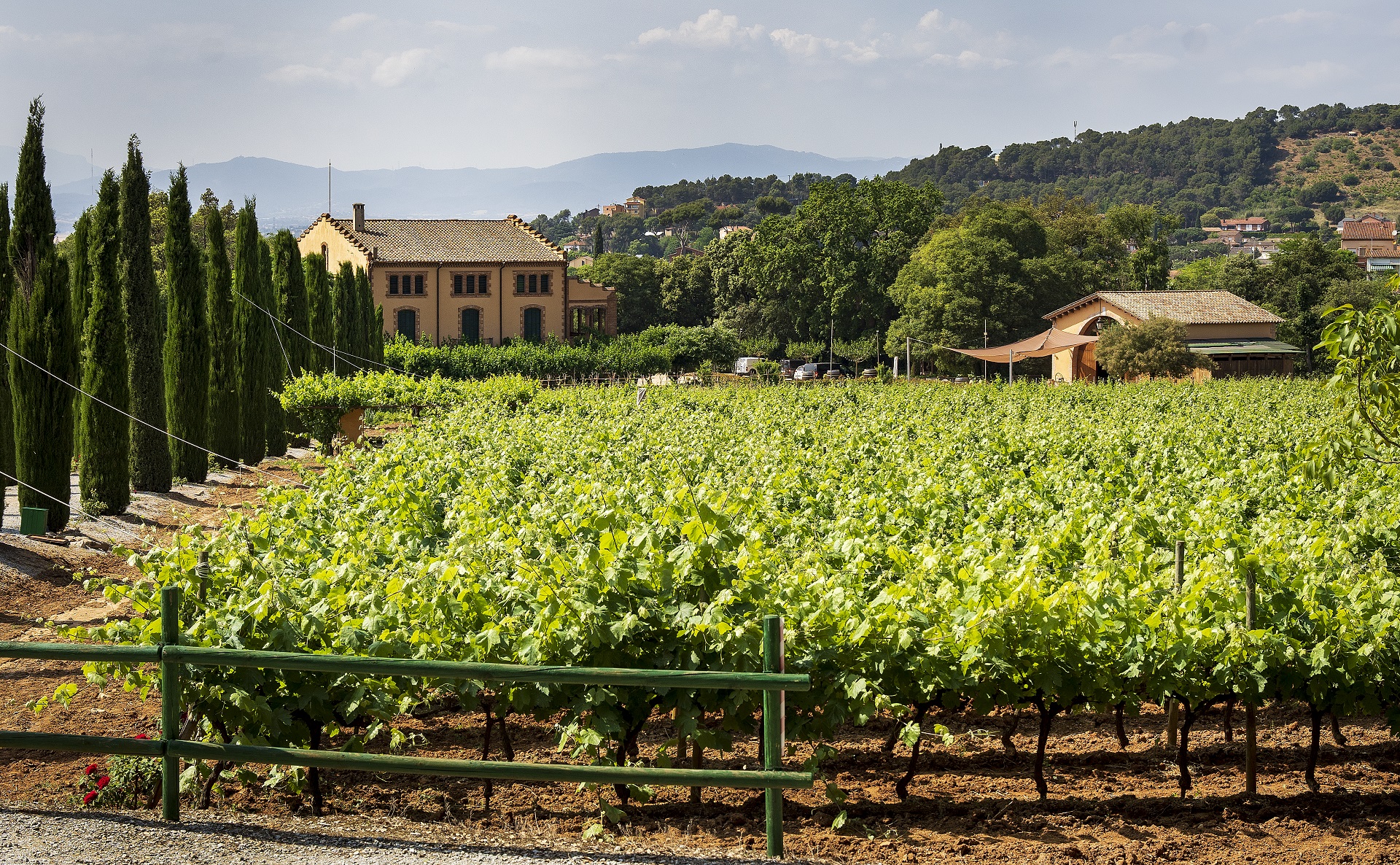 Celler a Santa Maria de Martorelles. PATXI URIZ | DIPUTACIÓ DE BARCELONA