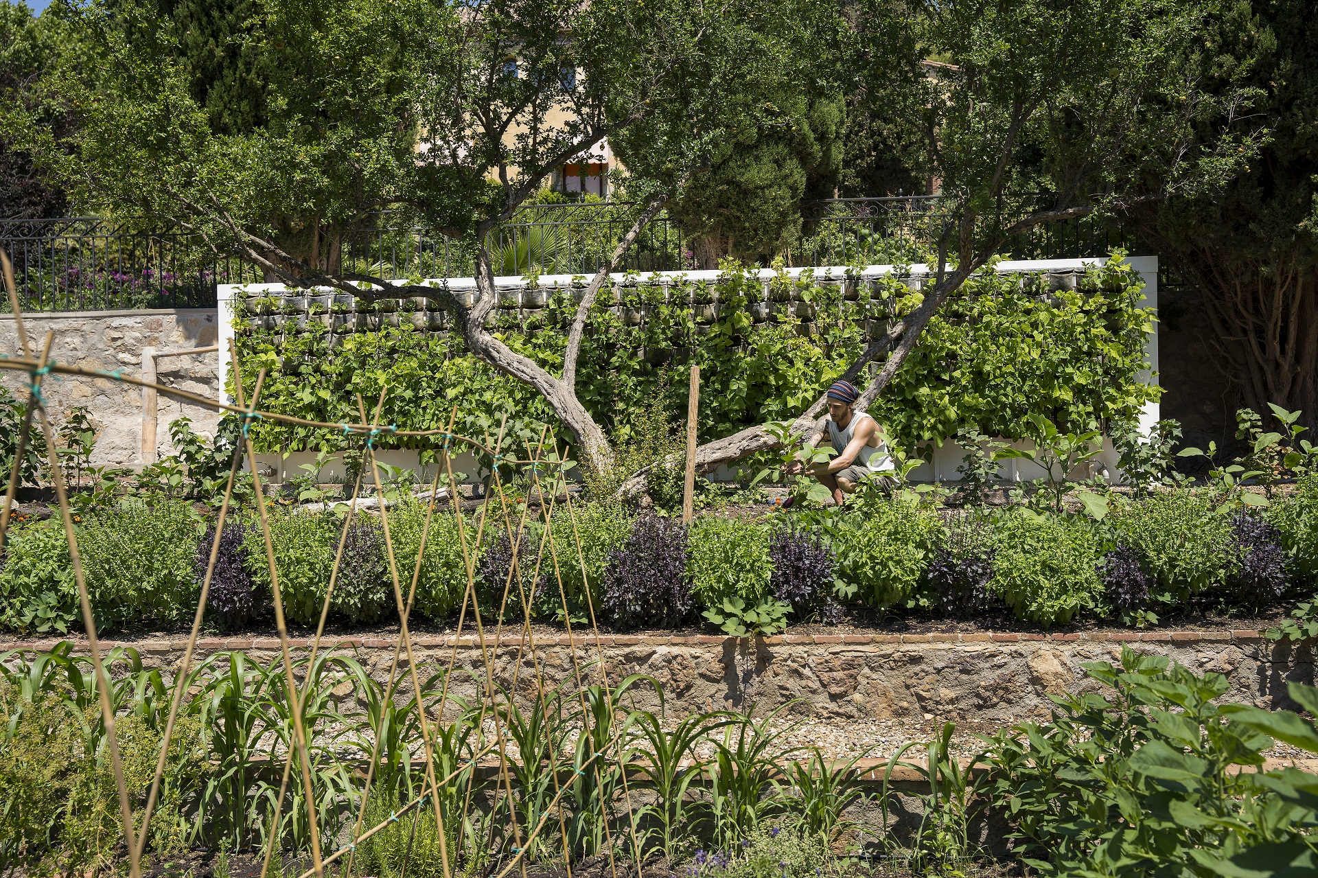 Jardí comestible Green for Good. PATXI URIZ | DIPUTACIÓ DE BARCELONA