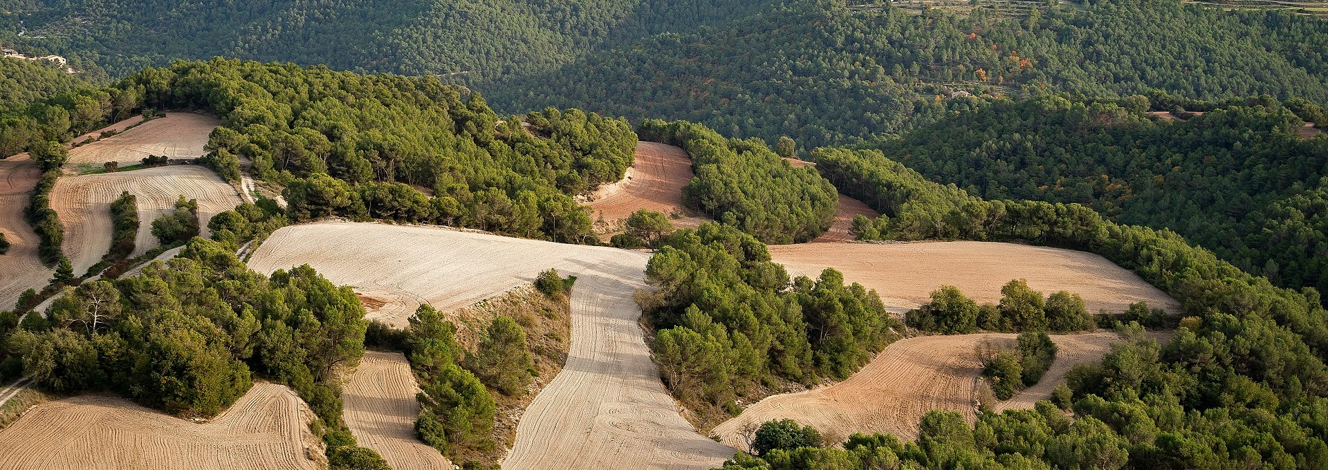 Paisatge en mosaic al Parc Agrari de la Conca d'Òdena. PATXI URIZ | DIPUTACIÓ DE BARCELONA