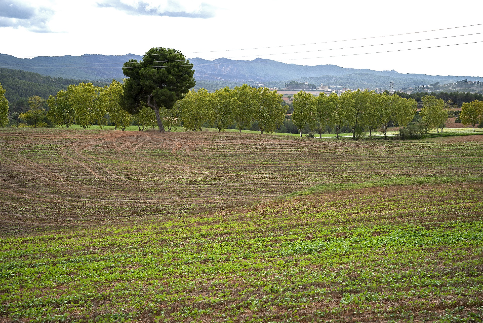 Parc Agrari de la Conca d’Òdena. PATXI URIZ | DIPUTACIÓ DE BARCELONA