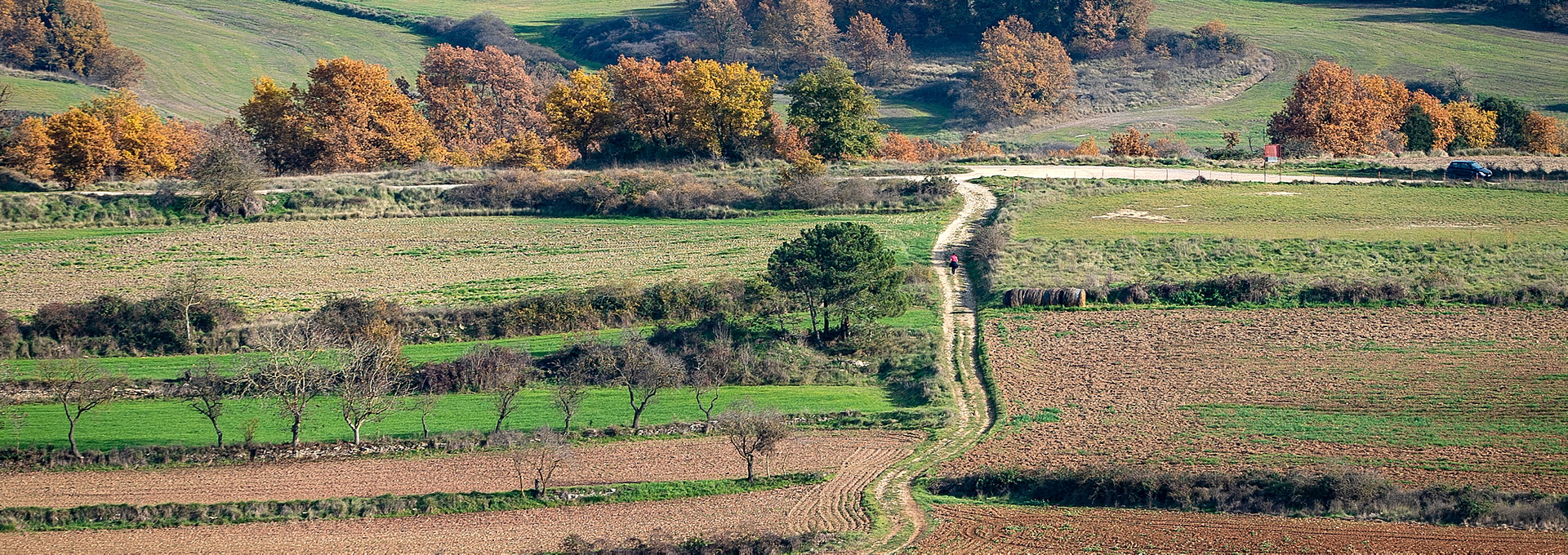 Paisatge agrari, Moià. PATXI URIZ | DIPUTACIÓ DE BARCELONA