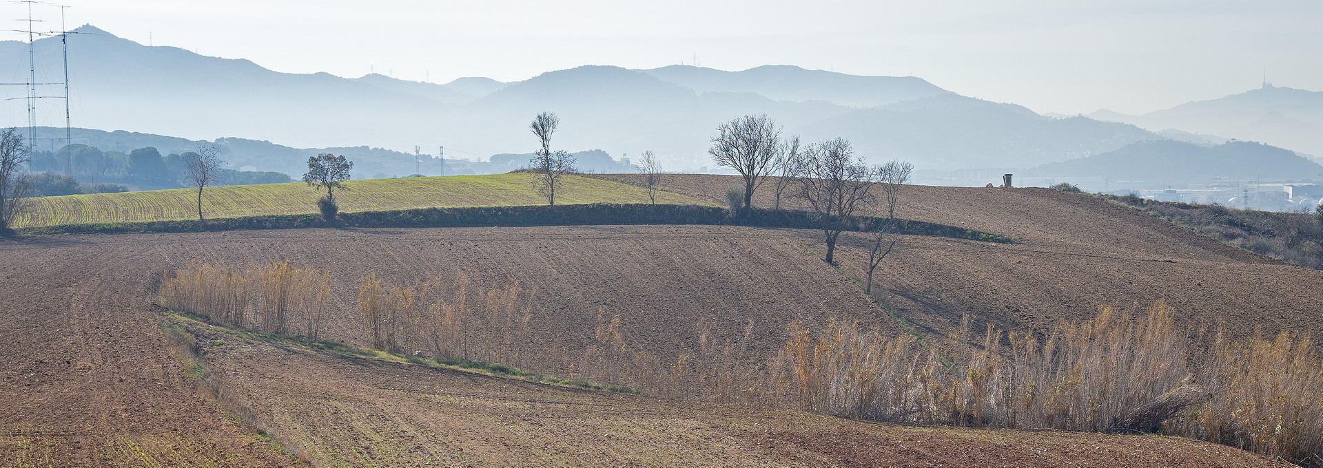 Paisatge agrari, Granollers. PATXI URIZ | DIPUTACIÓ DE BARCELONA