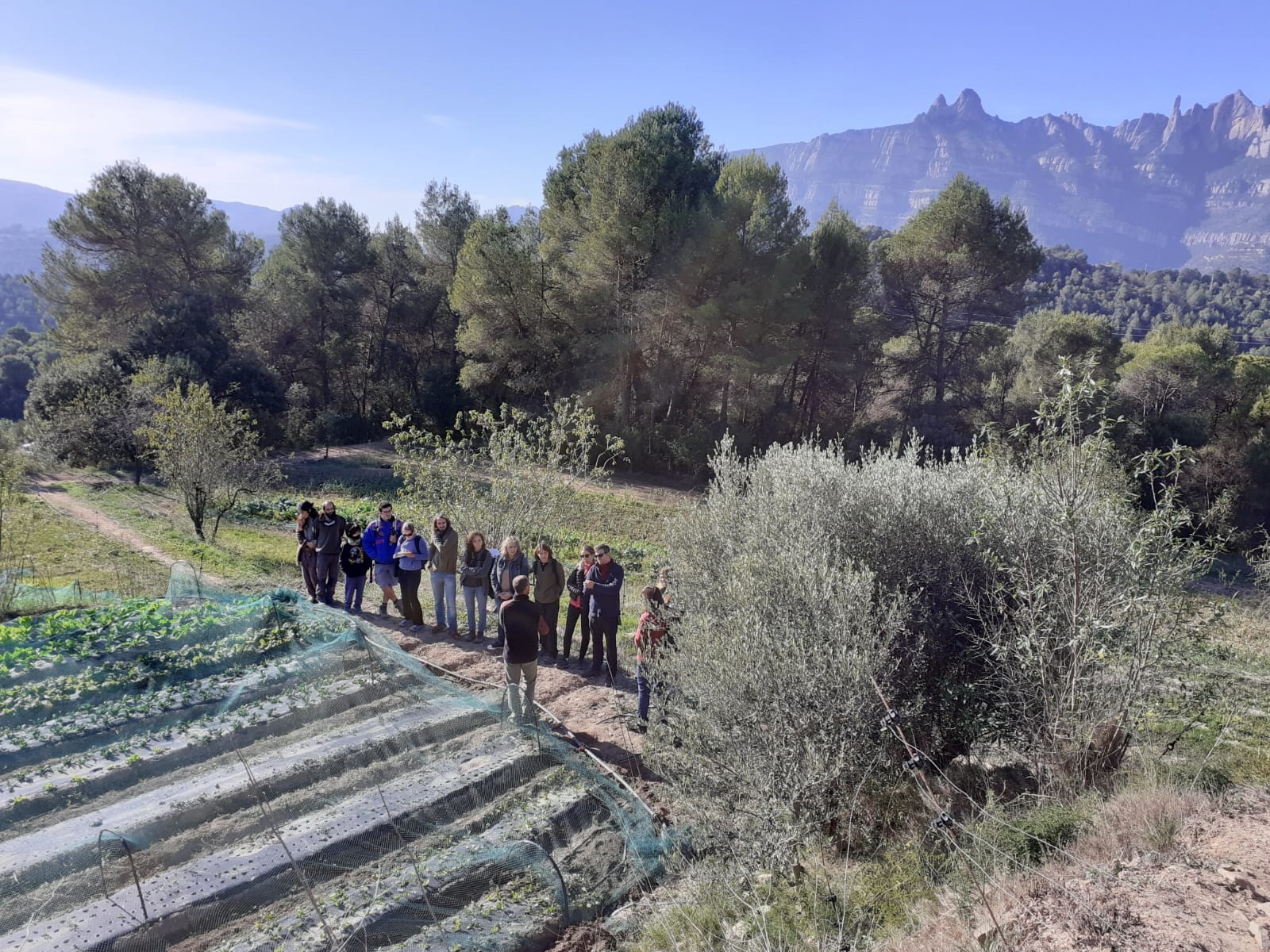 Formació al Parc Rural del Montserrat. PERE NAVARRO | DIPUTACIÓ DE BARCELONA