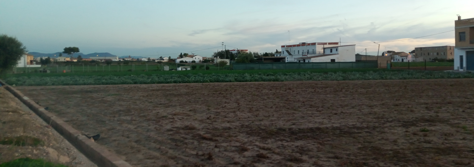 Paisatge agrari d’horta, Meliana. PERE NAVARRO | DIPUTACIÓ DE BARCELONA