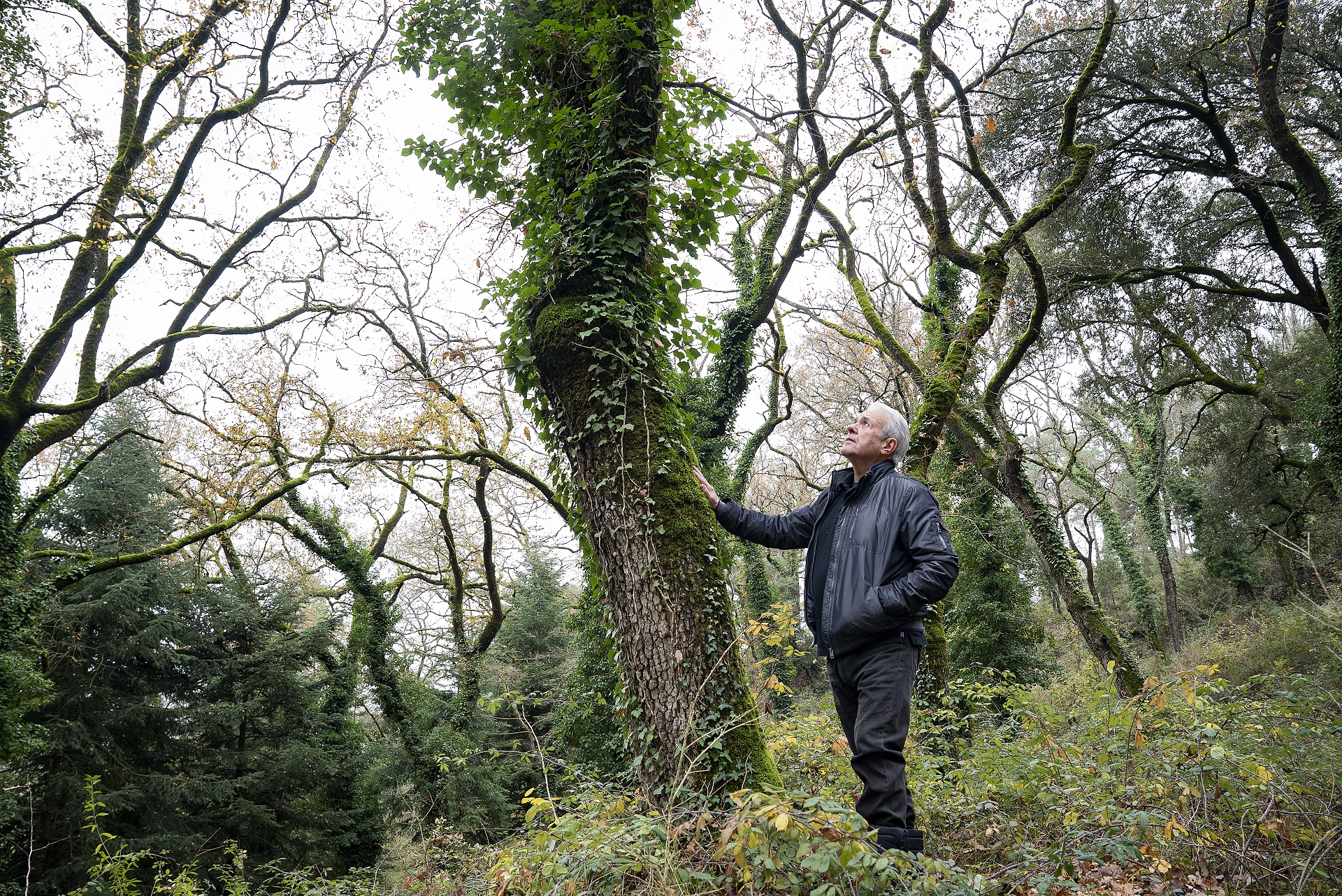 Melcior Montaner, propietari forestal. PATXI URIZ | DIPUTACIÓ DE BARCELONA