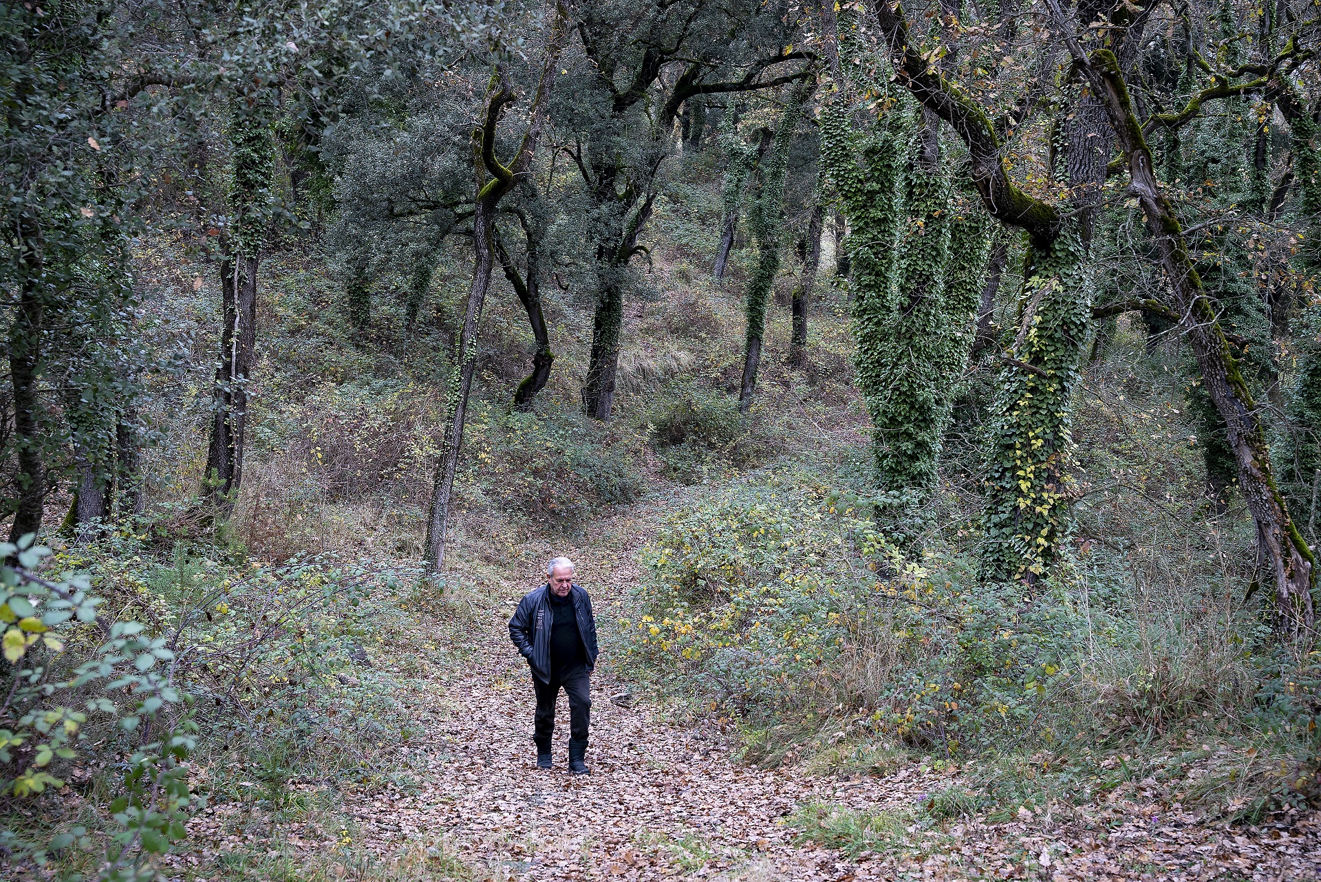 Melcior Montaner, propietari forestal. PATXI URIZ | DIPUTACIÓ DE BARCELONA