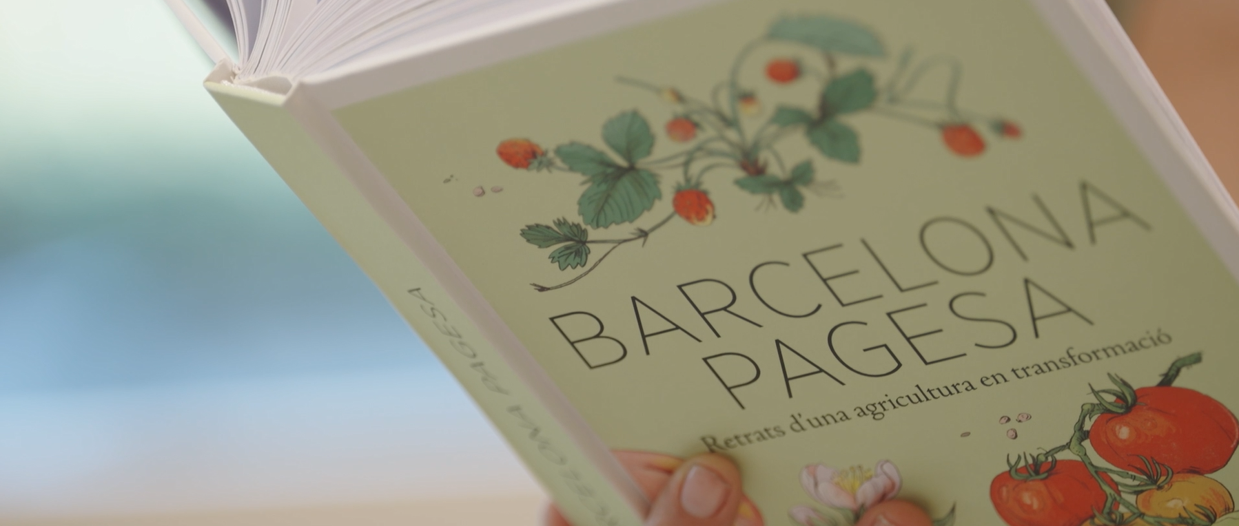 Barcelona pagesa. BCN AGRÀRIA | DIPUTACIÓ DE BARCELONA