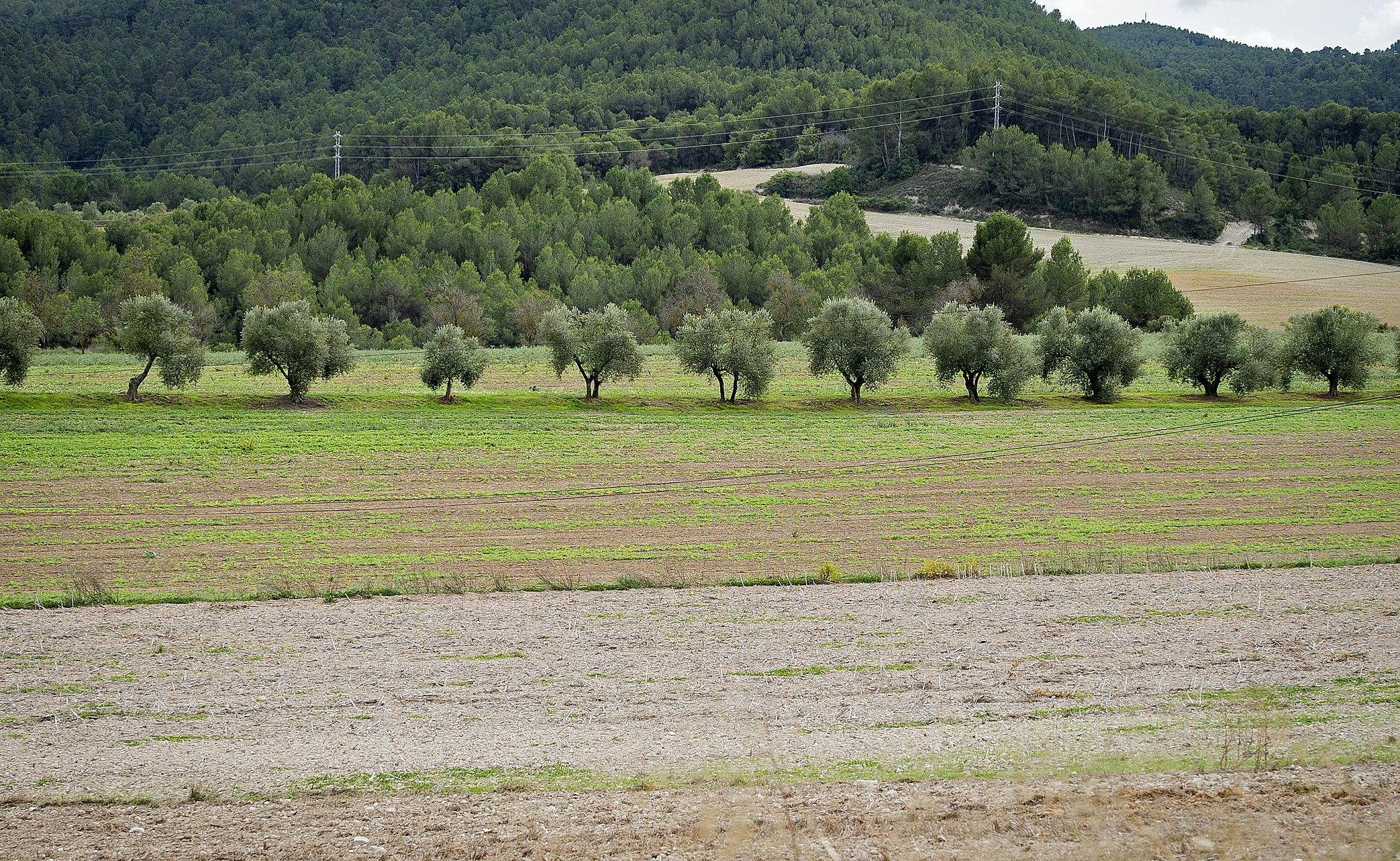 Santa Margarida de Montbui. PATXI URIZ | DIPUTACIÓ DE BARCELONA