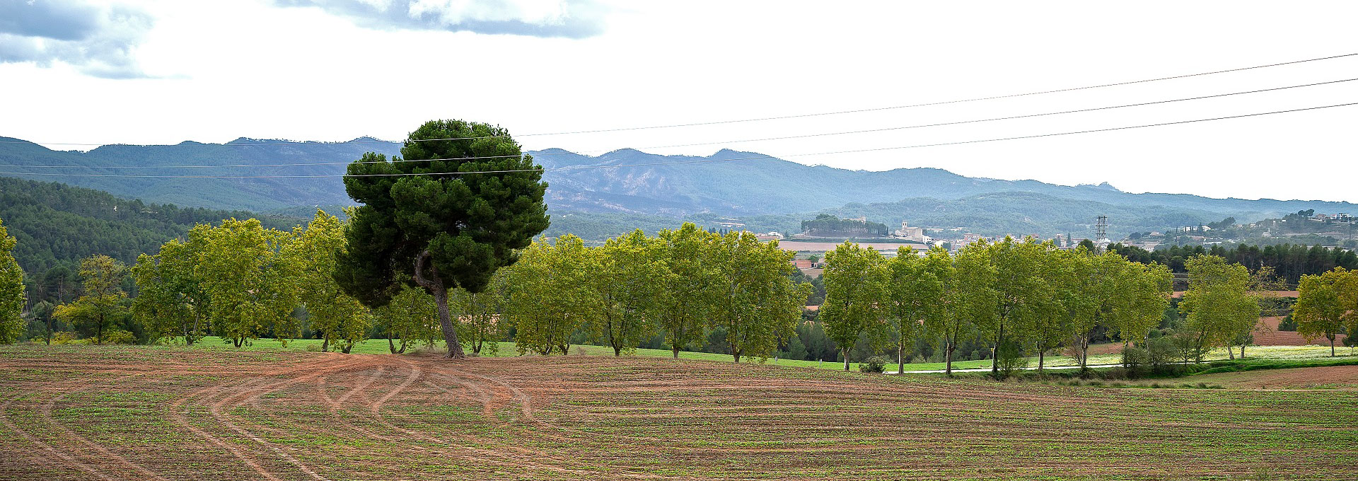 Santa Margarida de Montbui. PATXI URIZ | DIPUTACIÓ DE BARCELONA