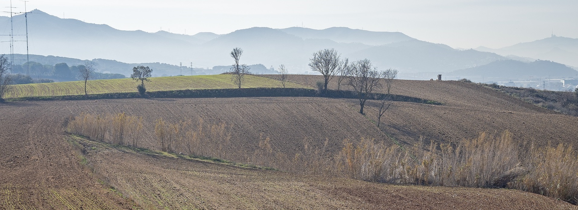 Paisatge agrari de Palou. PATXI URIZ | DIPUTACIÓ DE BARCELONA