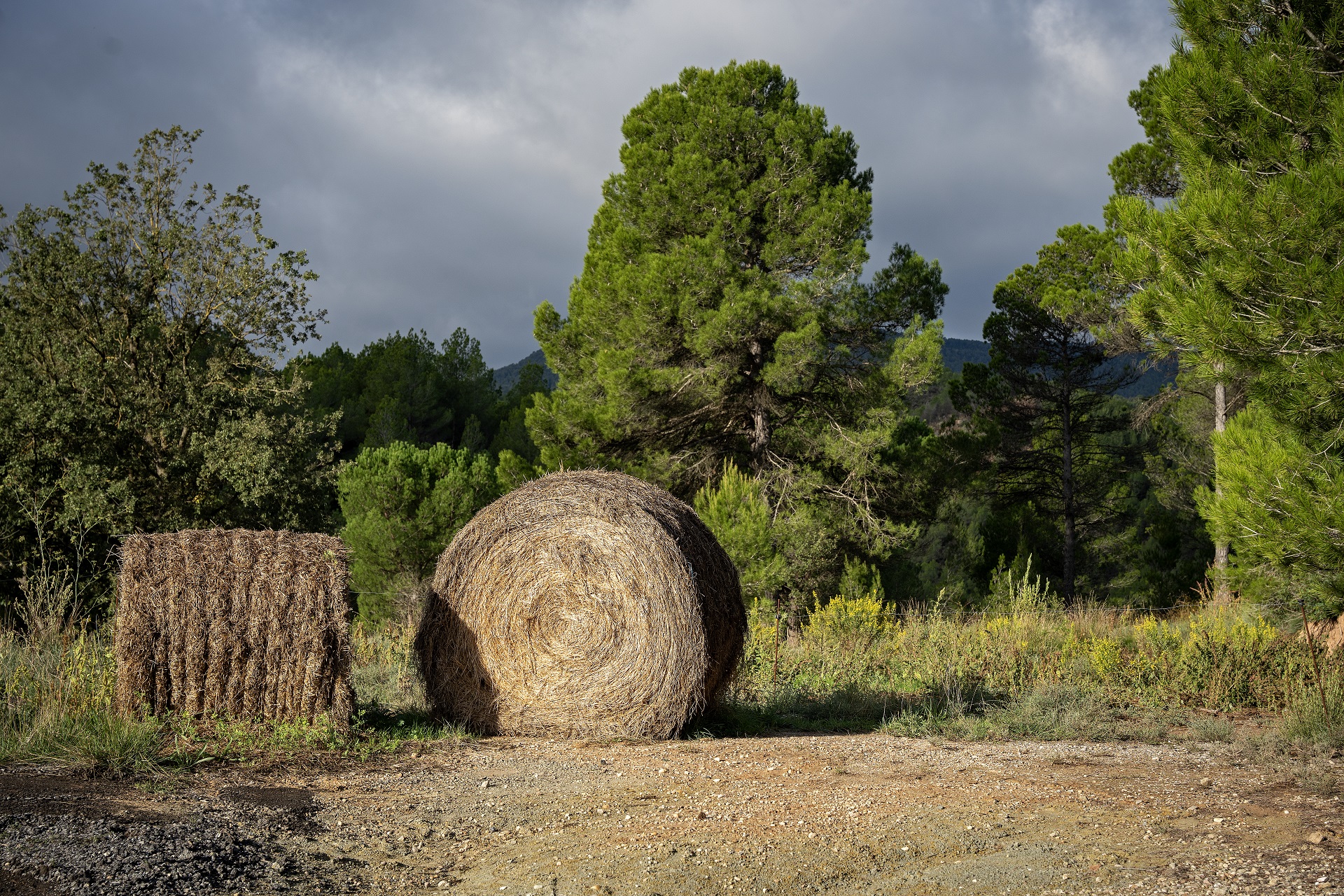 Paisatge agrari del Parc Rural del Montserrat. PATXI URIZ | DIPUTACIÓ DE BARCELONA