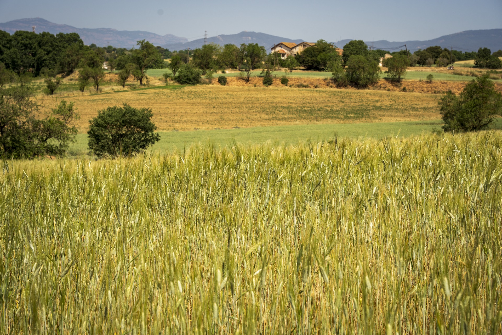 Espai Rural de Gallecs. PATXI URIZ | DIPUTACIÓ DE BARCELONA