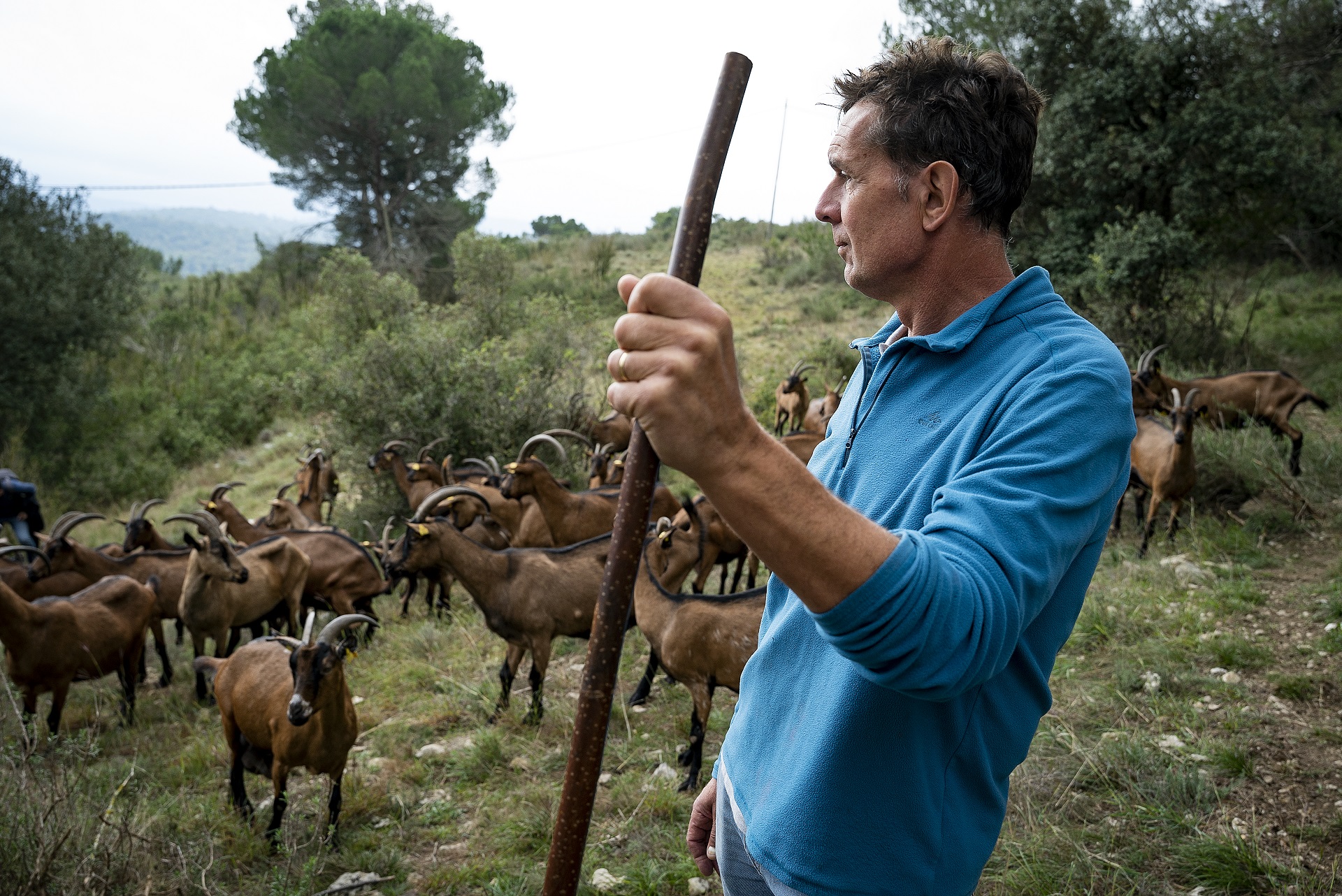 Francesc Molins, Alpines Les Feixes. PATXI URIZ | DIPUTACIÓ DE BARCELONA