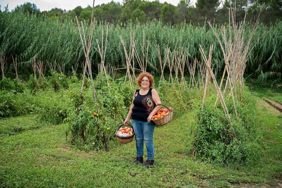 3 farmers who take care of the land