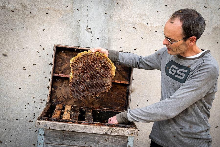 Josep Ruaix, beekeeper of Delícia de Mel