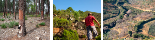 Projecte Mosaico Extremadura